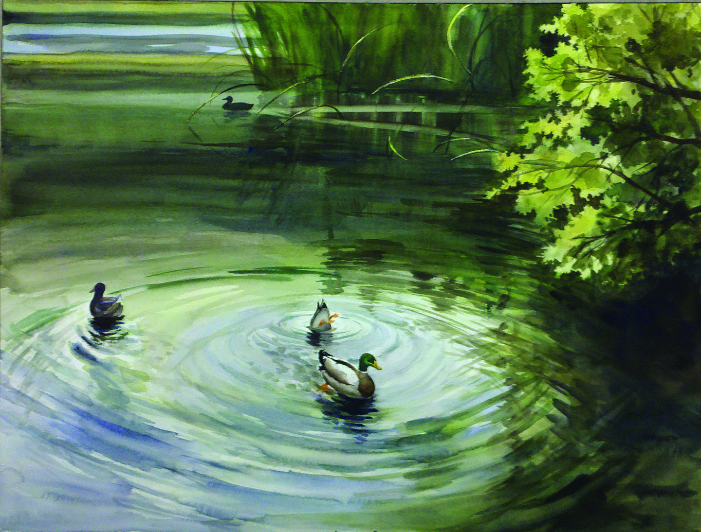 Duck Pond, Foothills Park, Palo Alto