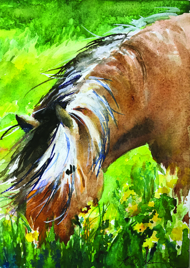 NORDIC FJORD HORSE FEEDING IN A MEADOW