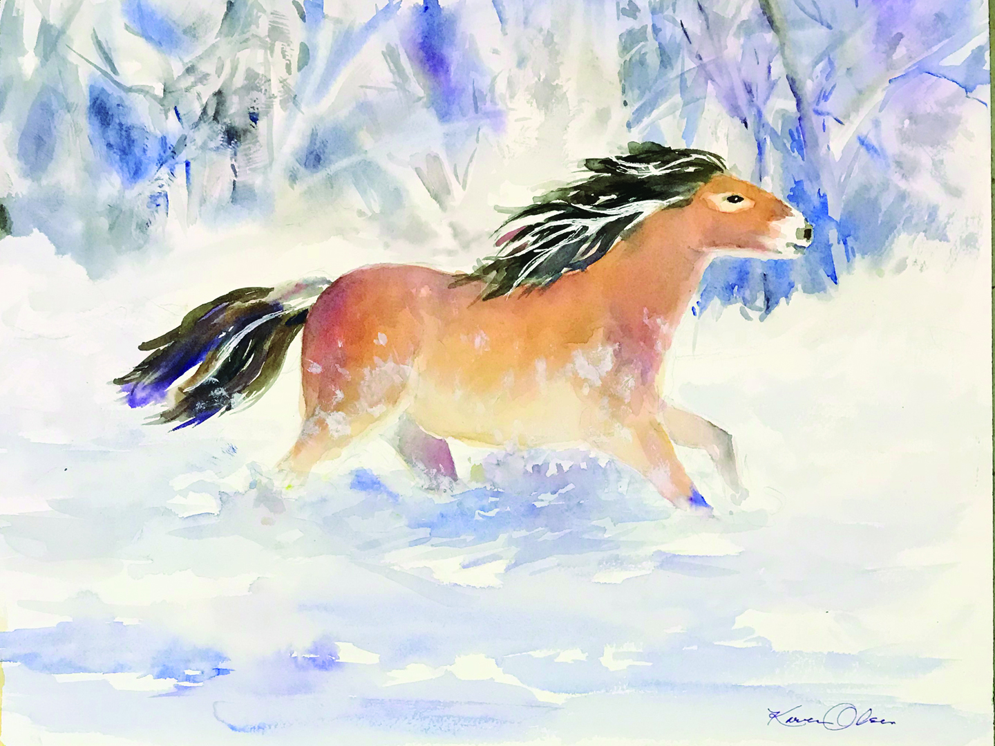 NORDIC FJORD HORSE RUNNING IN SNOW